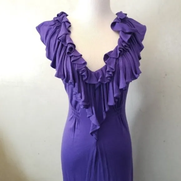 BCBGMAXAZRIA ruffled neck dress (N14)