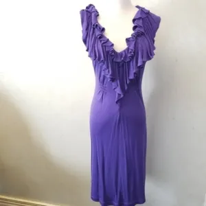 BCBGMAXAZRIA ruffled neck dress (N14)