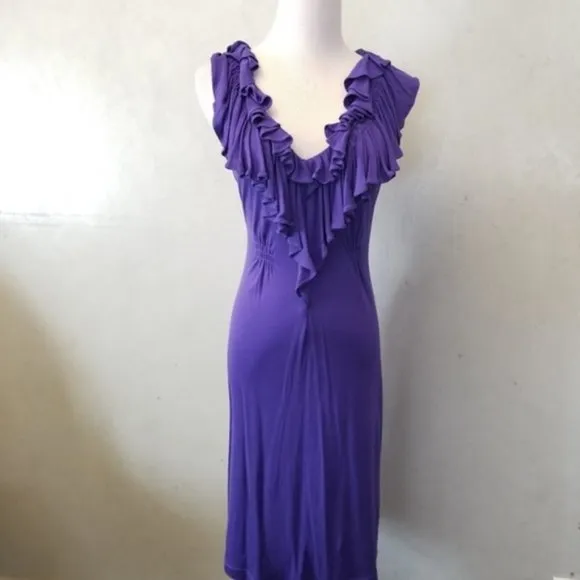 BCBGMAXAZRIA ruffled neck dress (N14)