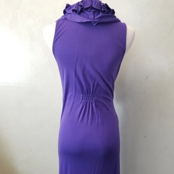 BCBGMAXAZRIA ruffled neck dress (N14)