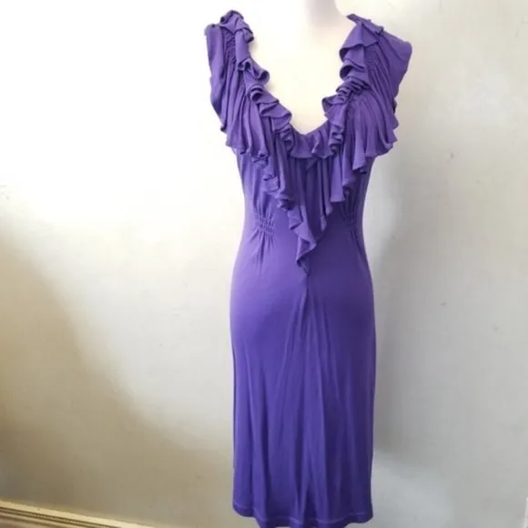 BCBGMAXAZRIA ruffled neck dress (N14)
