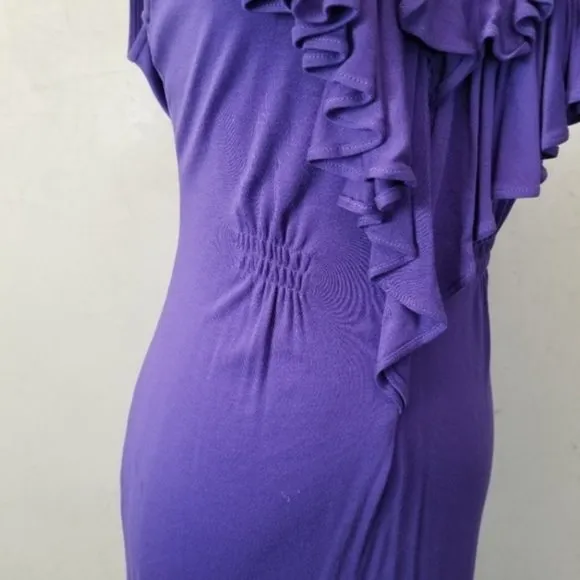 BCBGMAXAZRIA ruffled neck dress (N14)