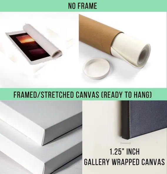 Elegant Elephant Canvas