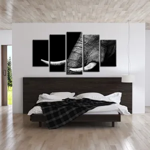Elegant Elephant Canvas