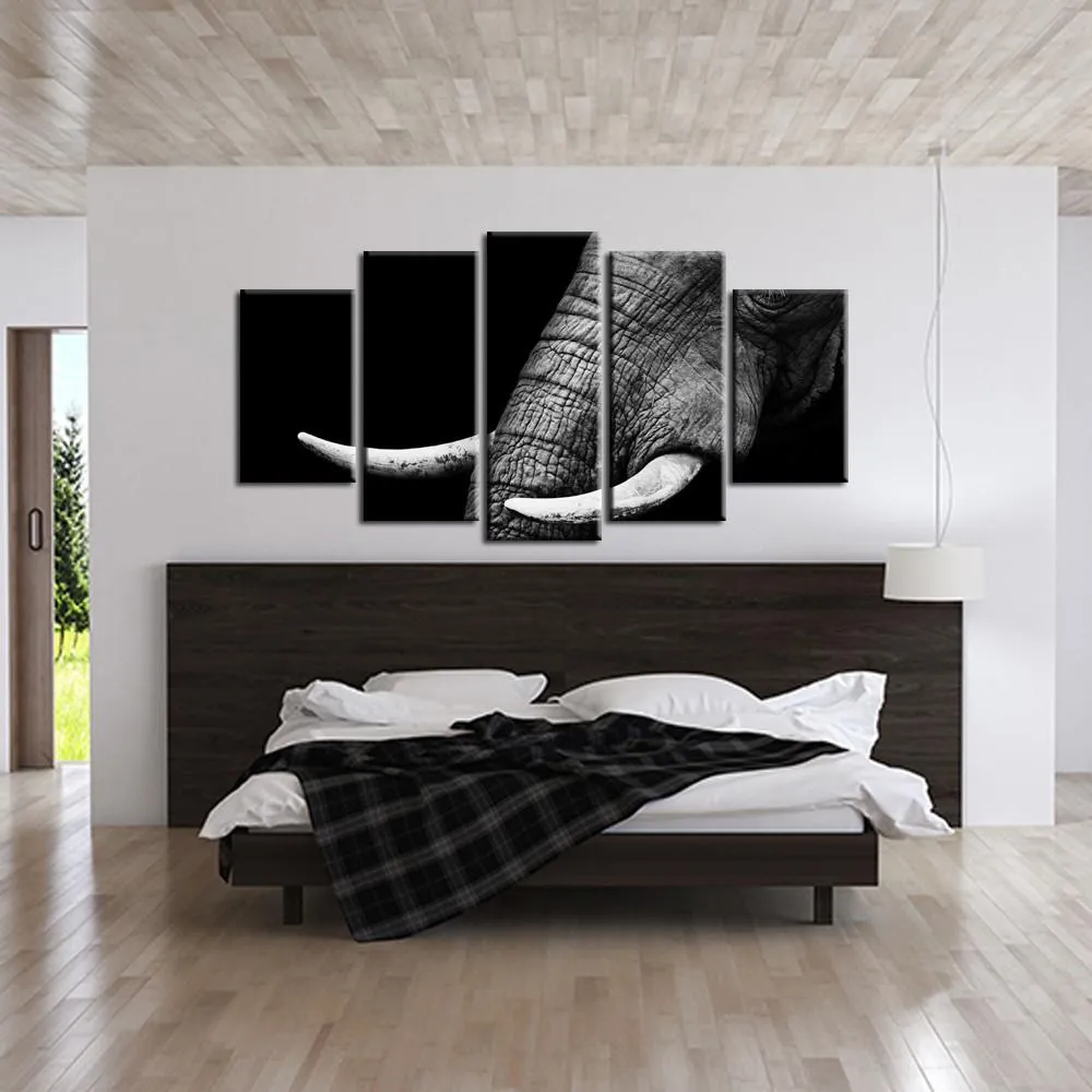 Elegant Elephant Canvas