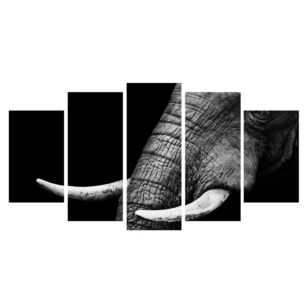 Elegant Elephant Canvas