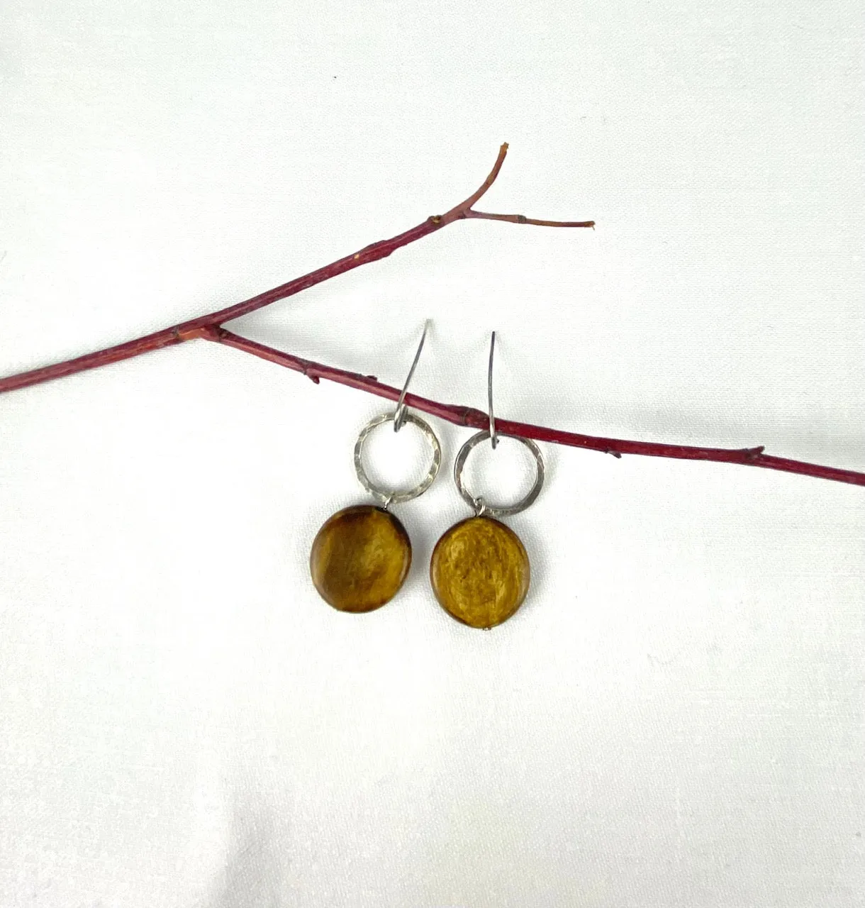 Elegant silver circles earrings