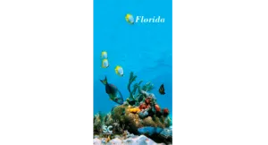 FLORIDA SEA LIVE  TOWEL