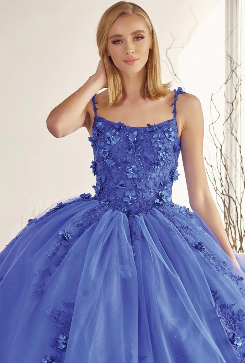 Juliet Evening Gowns 1436