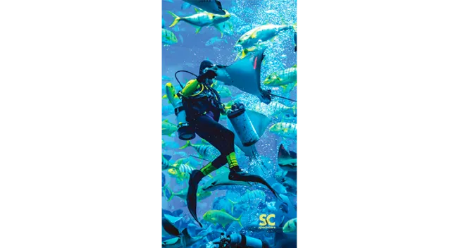 SCUBA DIVER FEED TOWEL