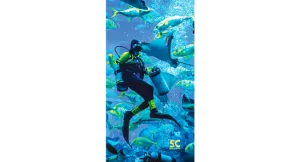 SCUBA DIVER FEED TOWEL