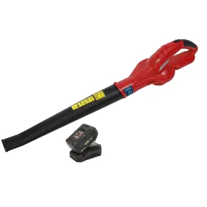 Sealey 20V Cordless Leaf Blower Kit 4Ah Battery and Charger