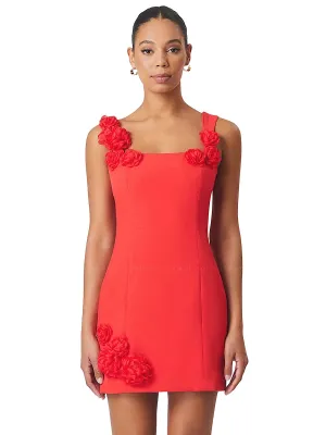 Trompe Dress